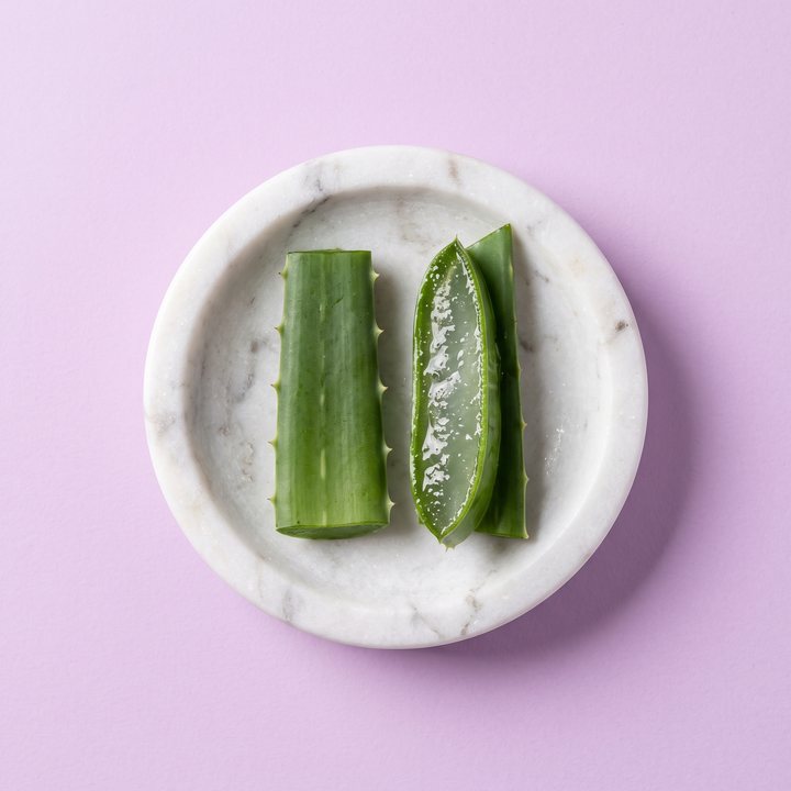 Aloe vera